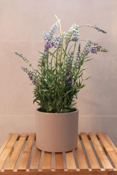 Garden Oasis Center Apartma
